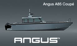 Angus
